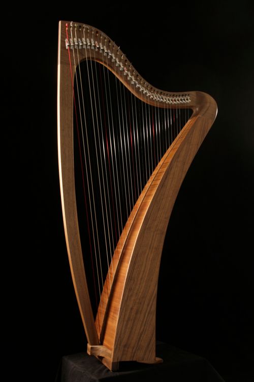 Keltische Harfe
                          34 Saiten - Pepe Weissgerber